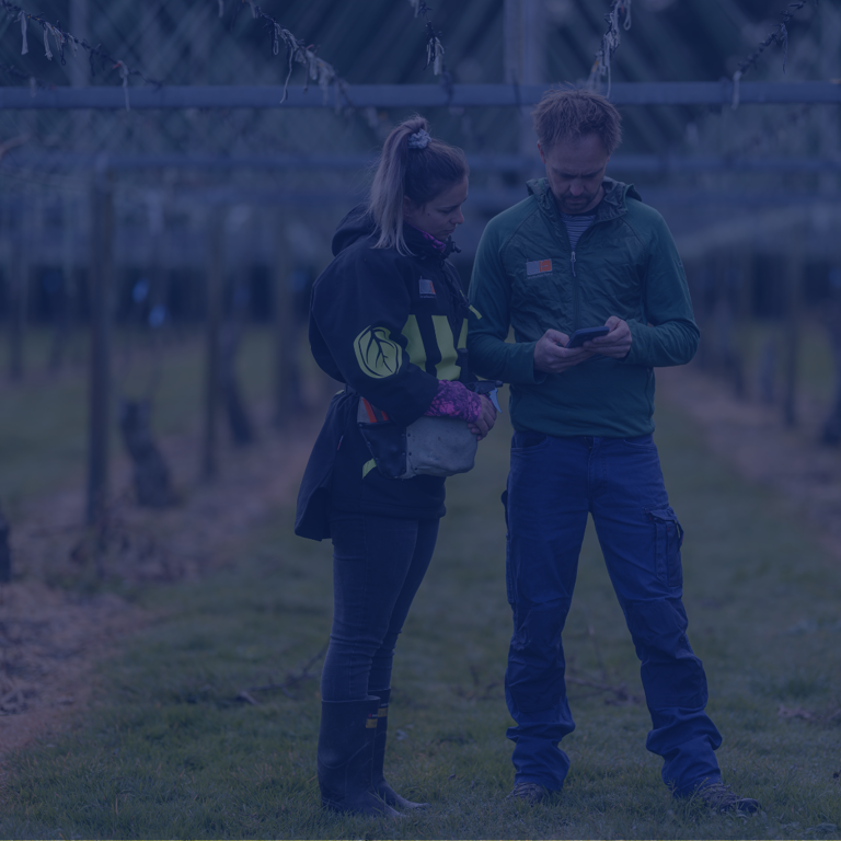 Bruntwood Farms Bento