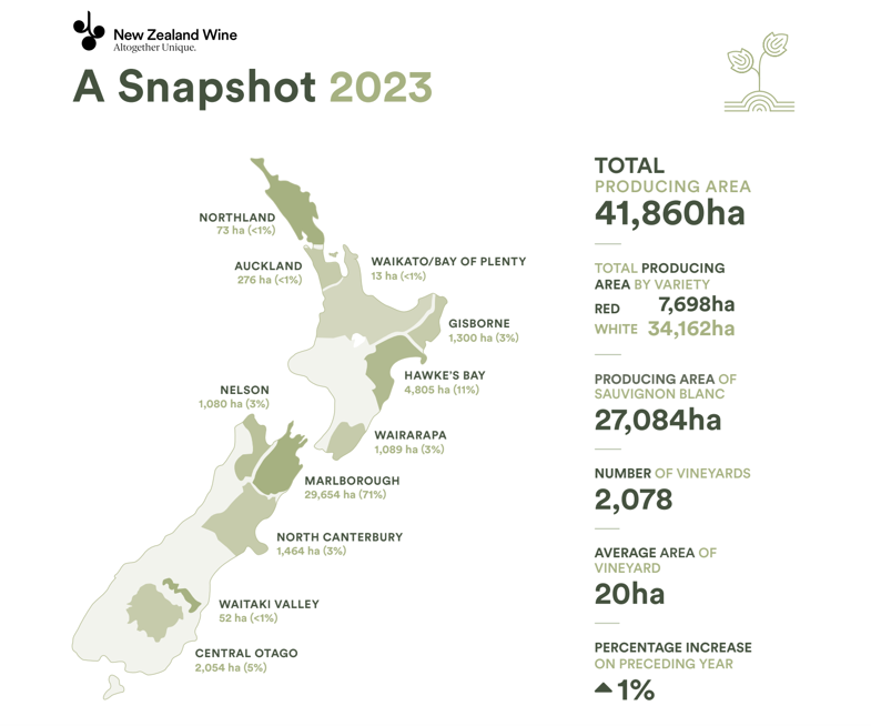 A snapshot of NZ wine