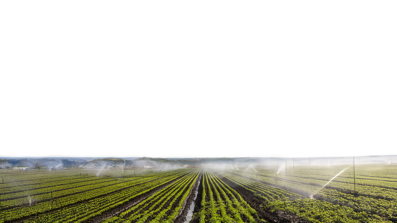 Health & Safety Image Background (1)