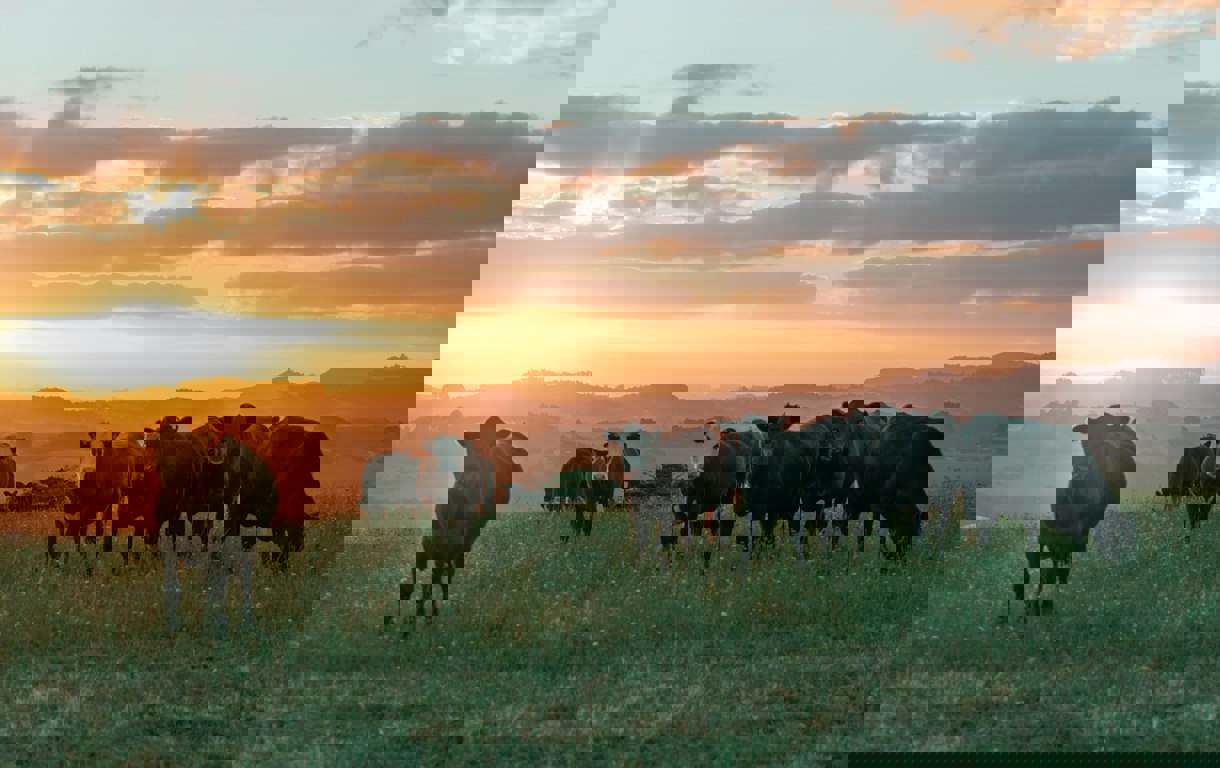 Dairy Stock Image