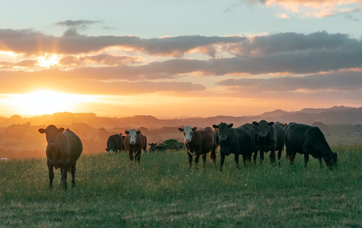 Dairy Stock Image