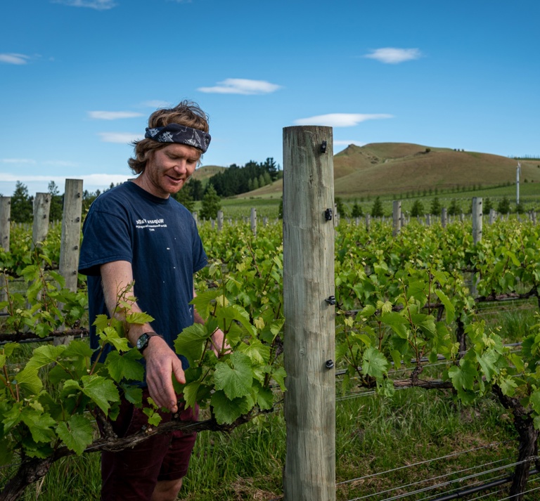 Vineyard Man