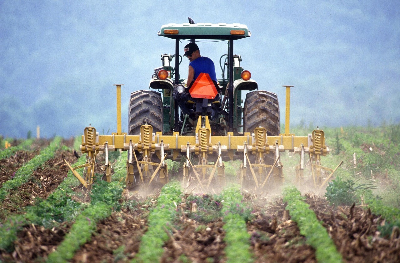 Farm worker crops large