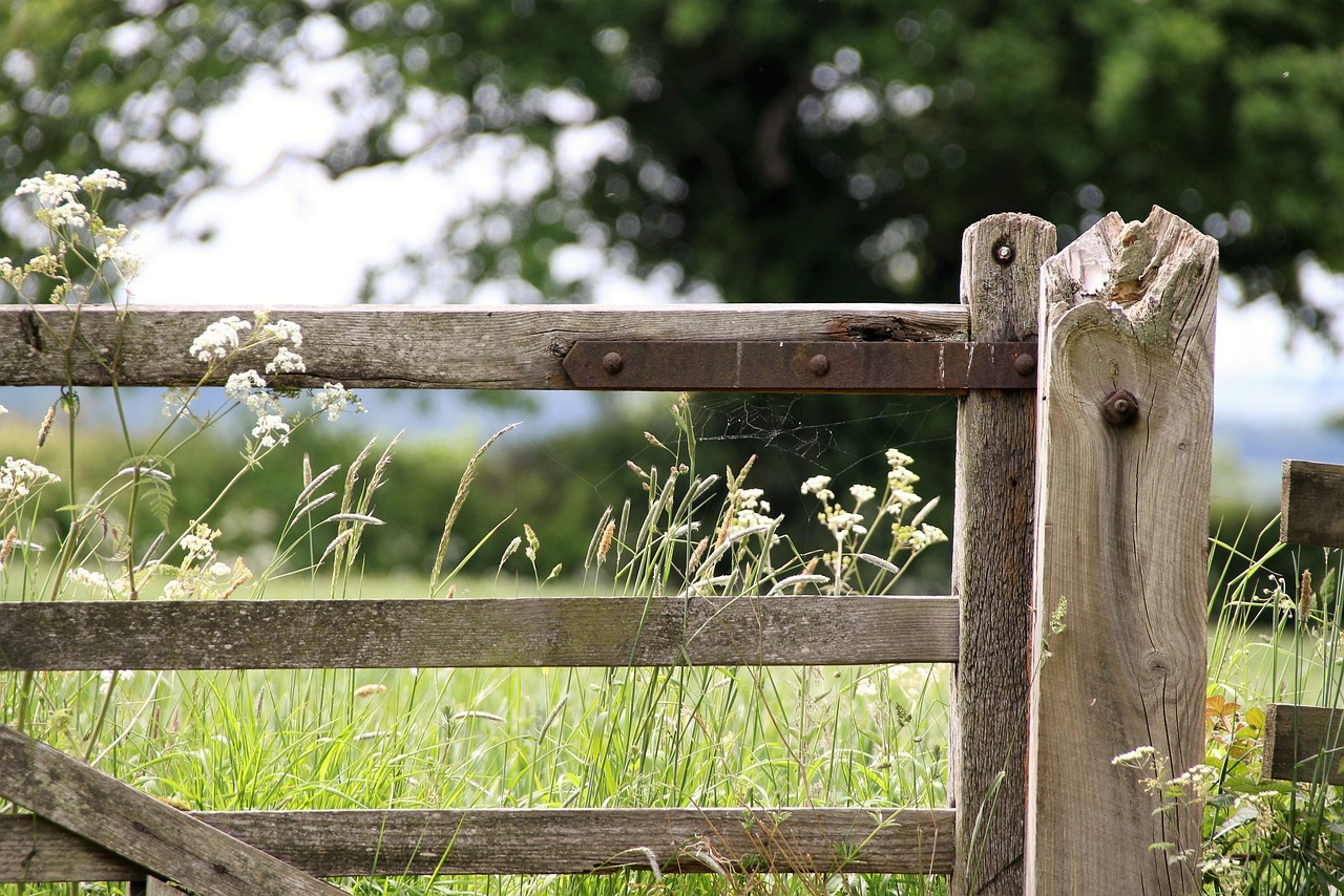 Fence large